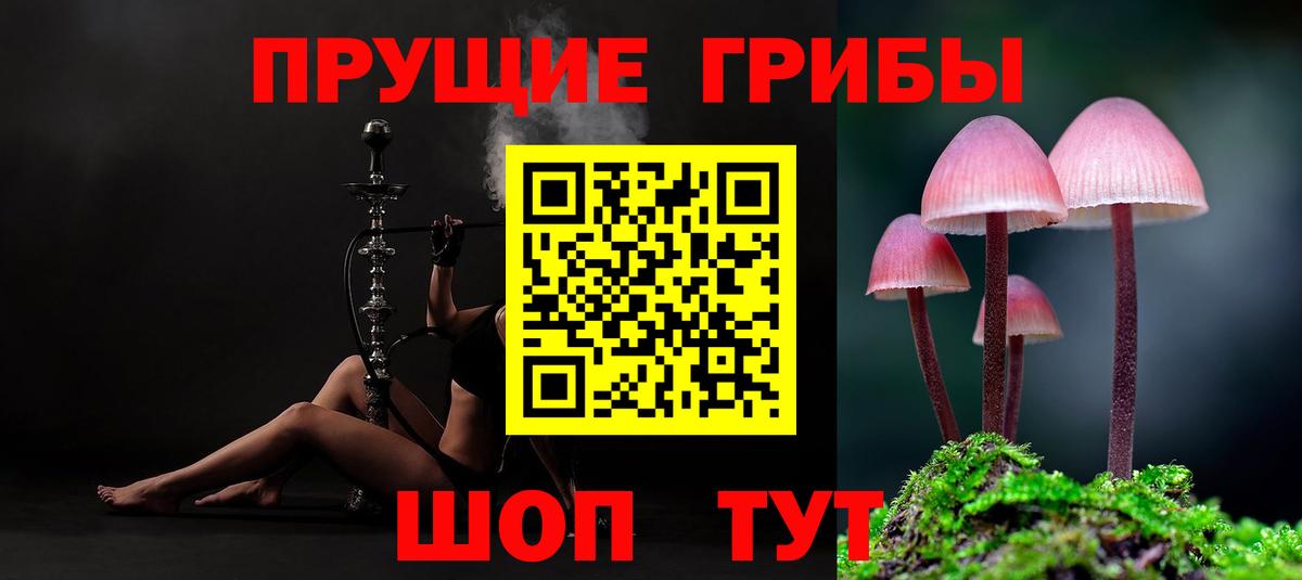 Галлюциногенные грибы GOLDEN TEACHER  закладки  Реутов  Вход с VPN 